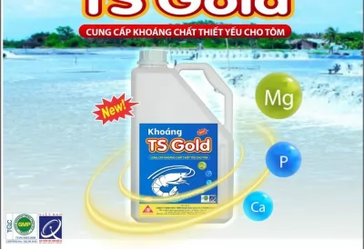 Sản phẩm khoáng nước TS Gold- Chất Lượng- Hiệu Quả Dành Cho Tôm Thương Phẩm