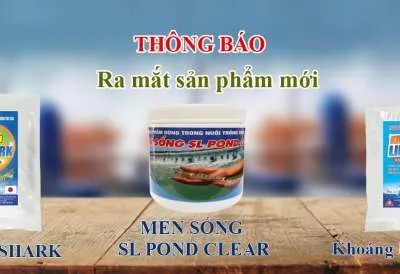 SẢN PHẨM MỚI-KHỞI ĐẦU THẮNG LỢI MỚI