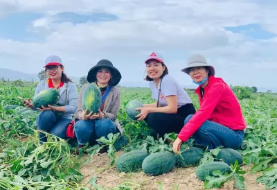 TRƯỜNG SINH ĐỒNG HÀNH CÙNG BÀ CON TRONG CHIẾN DỊCH GIẢI CỨU DƯA HẤU