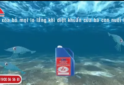 SẢN PHẨM DIỆT KHUẨN AN TOÀN VÀ HIỆU QUẢ TRONG AO NUÔI TÔM