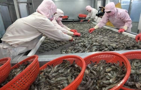 Thủy Sản Việt Nam Tăng Tốc Xuất Khẩu, Hướng Tới Mục Tiêu Vượt 12 Tỷ USD Năm 2026