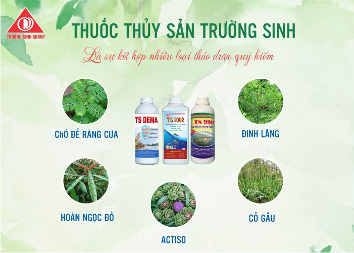 thuốc thủy sản trường sinh từ thảo dược