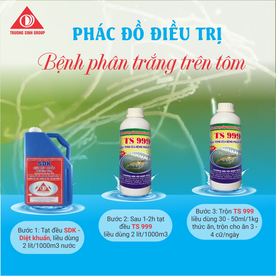 Phác đồ trị bệnh phân trắng trên tôm thẻ