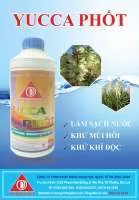 YUCCA PHỐT - LÀM SẠCH NƯỚC, KHỬ MÙI HÔI, KHỬ ĐỘC