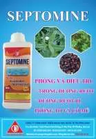 SEPTOMINE - . ĐIỀU TRỊ HOẠI TỬ, XUẤT HUYẾT, PHỒNG ĐỎ ĐƯỜNG RUỘT, PHÂN BỊ LOÃNG VÀ CONG