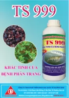 TS 999 - đặc trị phân trắng